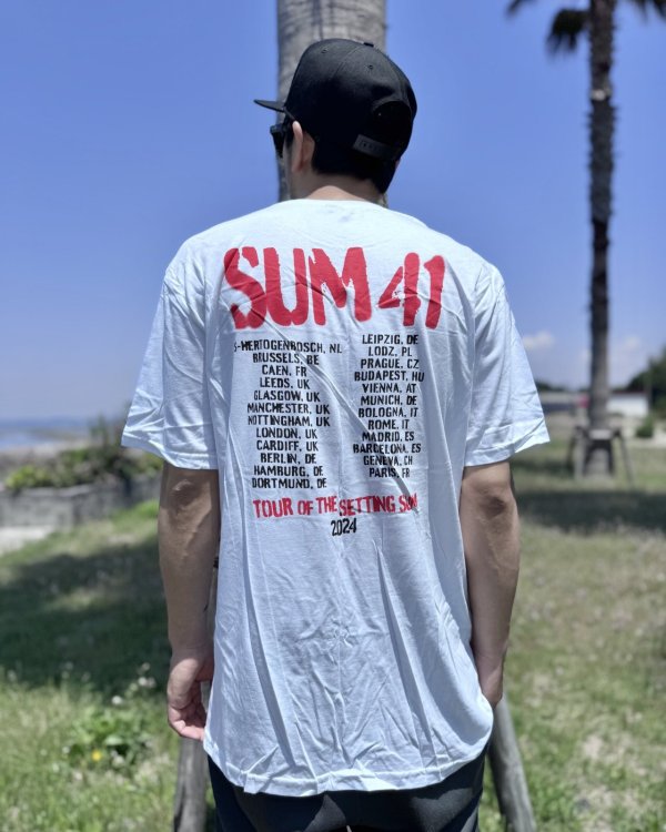 画像6: 送料無料 SUM 41 / Spray Paint Tシャツ ホワイト (6)