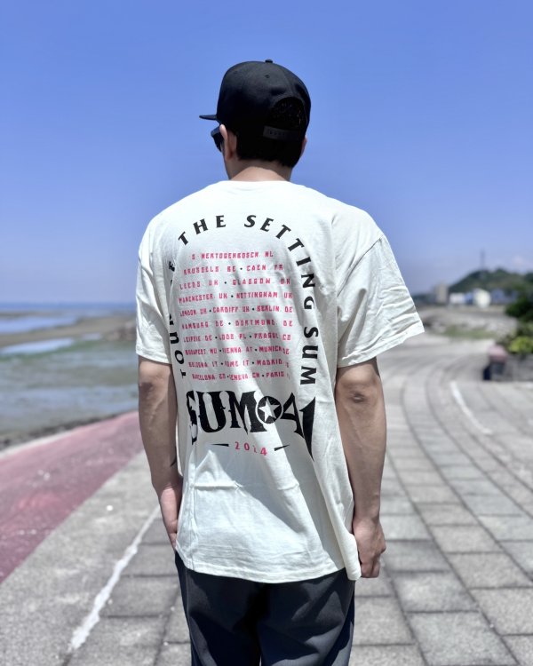 画像4: 送料無料 SUM 41 / Pink Skull Tシャツ ナチュラル (4)