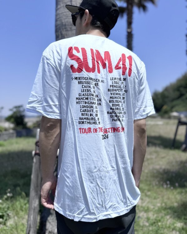画像8: 送料無料 SUM 41 / Spray Paint Tシャツ ホワイト (8)