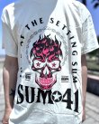 画像2: 送料無料 SUM 41 / Pink Skull Tシャツ ナチュラル (2)