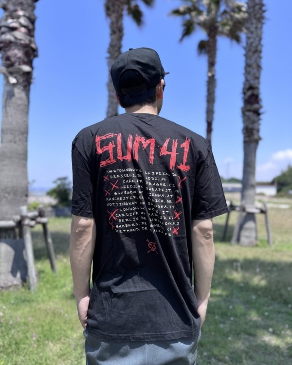 画像4: 送料無料 SUM 41 / Fuck Sum 41 Tシャツ ブラック (4)