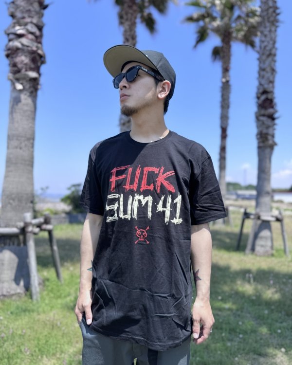 画像1: 送料無料 SUM 41 / Fuck Sum 41 Tシャツ ブラック (1)