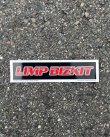 画像2: LIMP BIZKIT / Red Logo ステッカー (Copyright 1999) (2)