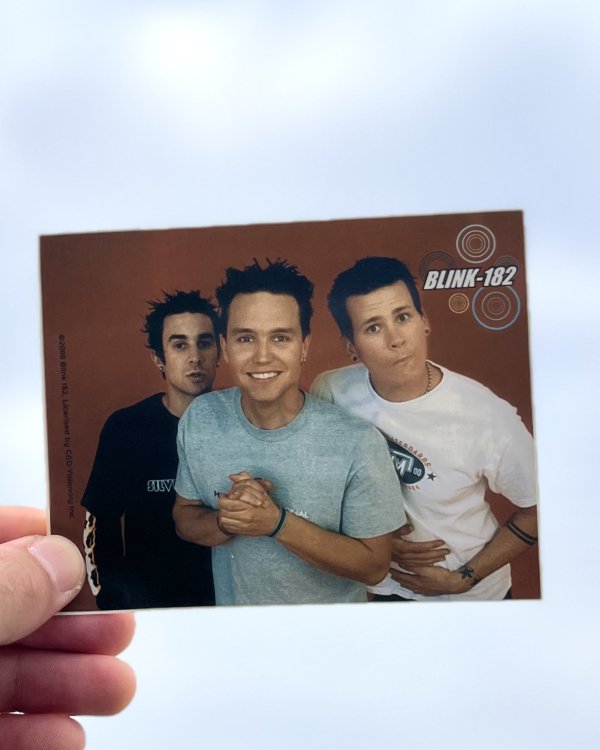 画像1: BLINK182 / Group Photo ステッカー (Copyright 2000) (1)