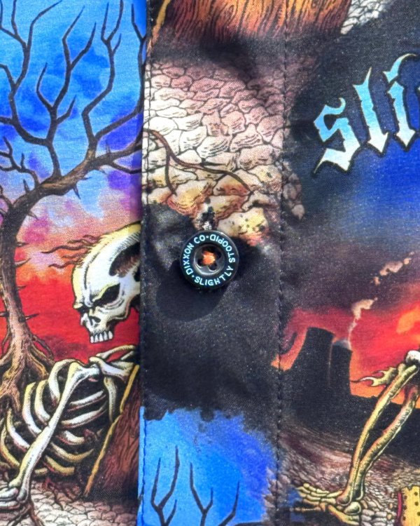 画像12: カリフォルニア買付アイテム 送料無料 SLIGHTLY STOOPID x DIXXON FLANNEL CO / Closer to the sun コラボ半袖シャツ (12)