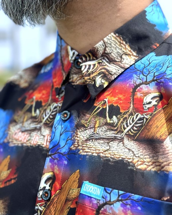 画像11: カリフォルニア買付アイテム 送料無料 SLIGHTLY STOOPID x DIXXON FLANNEL CO / Closer to the sun コラボ半袖シャツ (11)