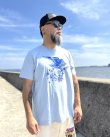 画像4: オーピーさん直買付アイテム 送料無料 DGWD / BLUE DAGGER OWL 半袖Tシャツ ライトブルー Artwork by MR. LEE (4)