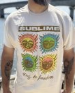 画像1: カリフォルニア買付アイテム 送料無料 SUBLIME / 40 oz. to Freedom Colorblock Tシャツ サンド (1)