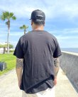 画像7: カリフォルニア買付アイテム 送料無料 SUBLIME / Sublime Sun Logo & Plants Tシャツ ブラック (7)