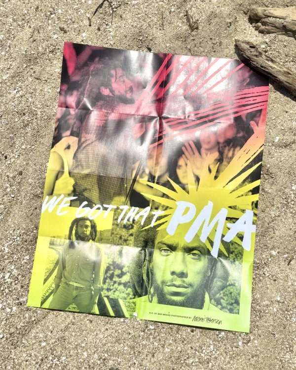 画像10: カリフォルニア買付アイテム 送料無料 2個限定 PNKZLS / HR of Bad Brains ジグソーパズル (10)