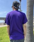 画像6: カリフォルニア買付アイテム 送料無料 Lサイズ1枚のみの入荷 SUBLIME / Summertime Tシャツ (6)