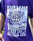 画像3: カリフォルニア買付アイテム 送料無料 Lサイズ1枚のみの入荷 SUBLIME / Summertime Tシャツ (3)