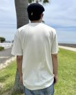 画像6: ファット・マイクさん直買い付けアイテム 送料無料 THE PUNK ROCK MUSEUM / Call In Sick Tシャツ ナチュラル (6)