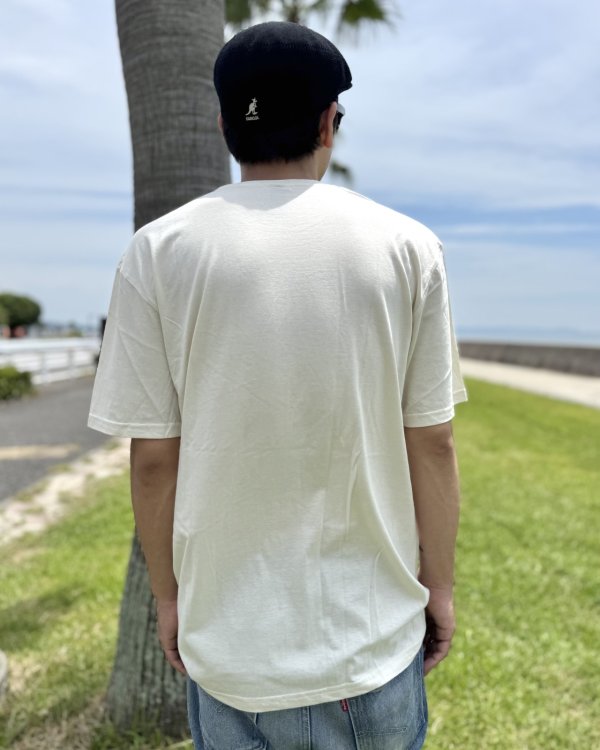 画像6: ファット・マイクさん直買い付けアイテム 送料無料 THE PUNK ROCK MUSEUM / Call In Sick Tシャツ ナチュラル (6)