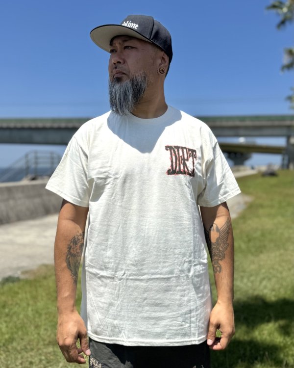 画像2: カリフォルニア買付アイテム 送料無料 ALICE IN CHAINS / Vintage Dirt Sun Tシャツ ナチュラル (2)