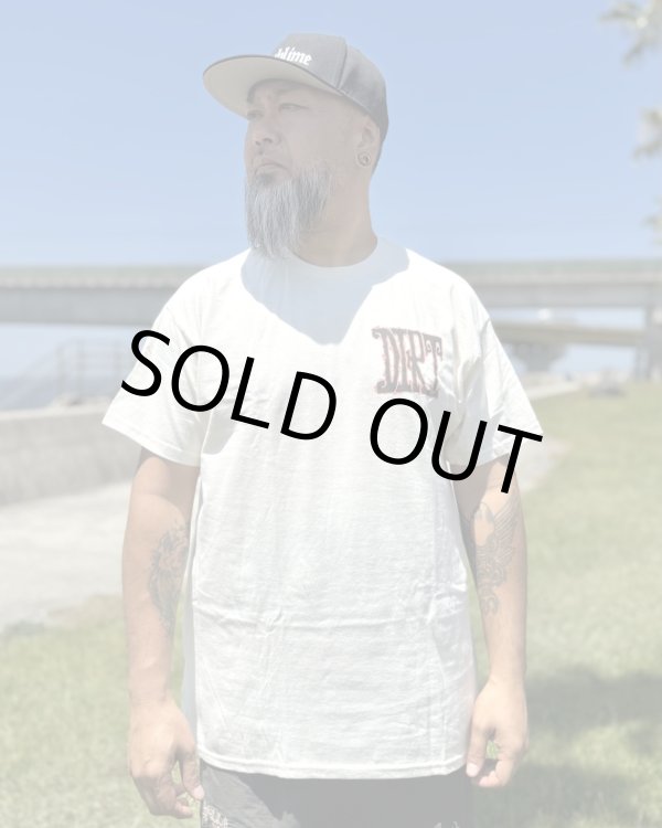 画像2: カリフォルニア買付アイテム 送料無料 M、Lサイズ各1枚づつで終了 ALICE IN CHAINS / Vintage Dirt Sun Tシャツ ナチュラル (2)