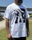 画像4: カリフォルニア買付アイテム 送料無料 DEFTONES / Private Music Tシャツ ホワイト (4)