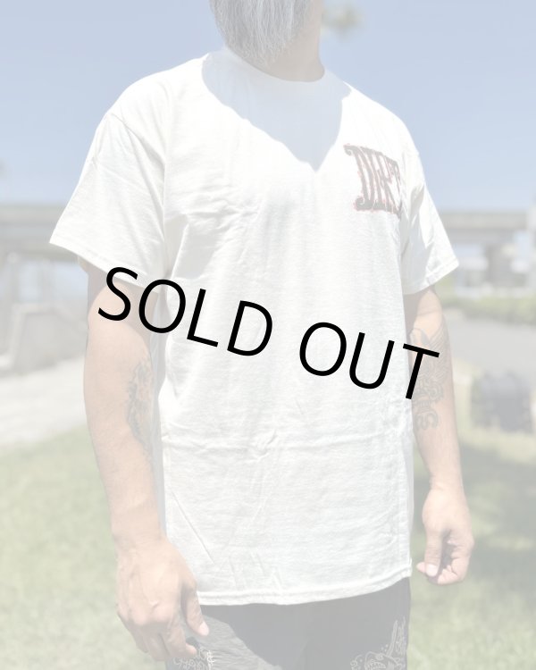 画像7: カリフォルニア買付アイテム 送料無料 M、Lサイズ各1枚づつで終了 ALICE IN CHAINS / Vintage Dirt Sun Tシャツ ナチュラル (7)