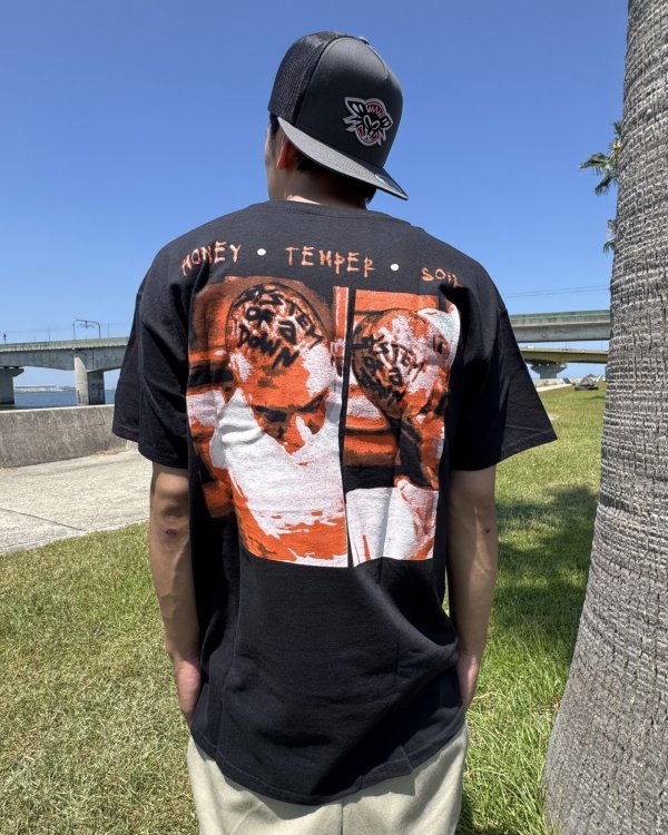 画像6: カリフォルニア買付アイテム 送料無料 M、Lサイズのみ SYSTEM OF A DOWN / Honey Temper Soil Tシャツ ブラック (6)