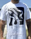 画像1: カリフォルニア買付アイテム 送料無料 DEFTONES / Private Music Tシャツ ホワイト (1)