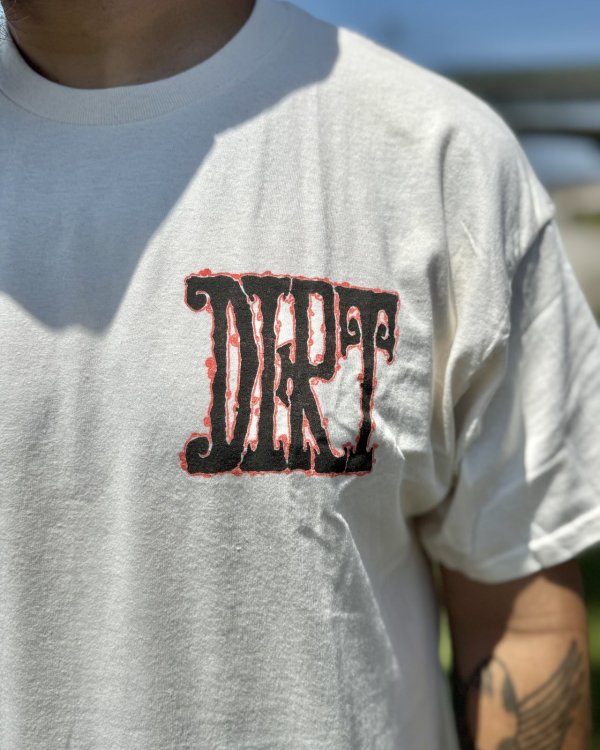 画像4: カリフォルニア買付アイテム 送料無料 ALICE IN CHAINS / Vintage Dirt Sun Tシャツ ナチュラル (4)