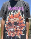 画像4: カリフォルニア買付アイテム 送料無料 L、2XLサイズのみ METALLICA / Flaming Flower Skull Tシャツ ブラック Artwork by PUSHEAD (4)