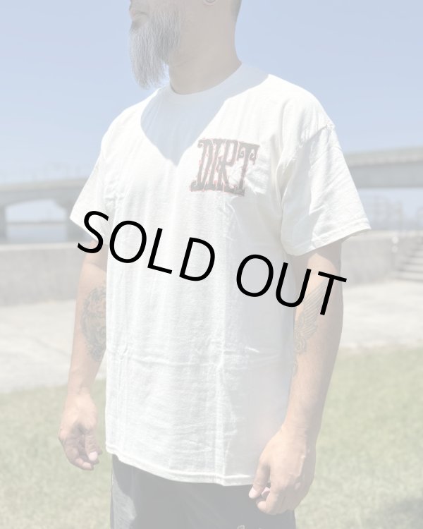 画像6: カリフォルニア買付アイテム 送料無料 M、Lサイズ各1枚づつで終了 ALICE IN CHAINS / Vintage Dirt Sun Tシャツ ナチュラル (6)