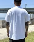 画像6: カリフォルニア買付アイテム 送料無料 DEFTONES / Private Music Tシャツ ホワイト (6)