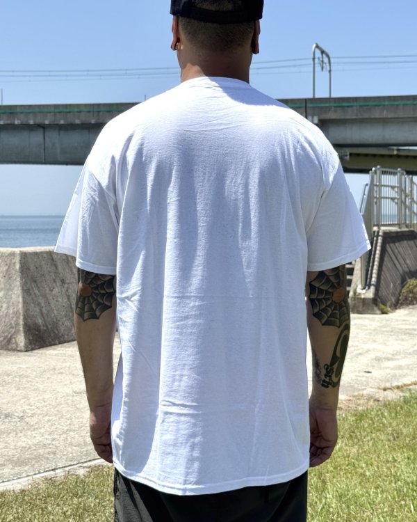 画像6: カリフォルニア買付アイテム 送料無料 DEFTONES / Private Music Tシャツ ホワイト (6)