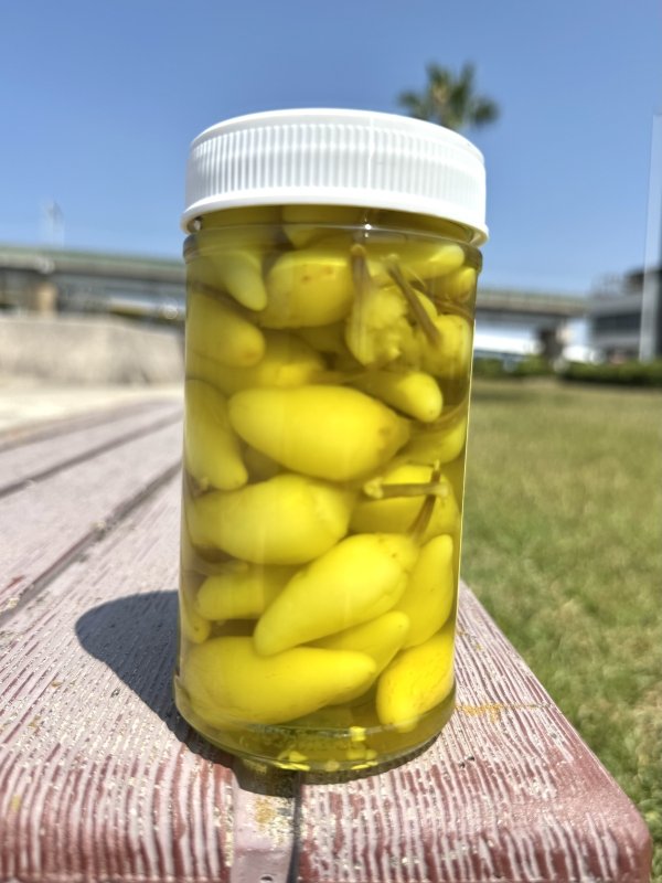 画像3: カリフォルニア買付アイテム インナウトバーガーでもらえるアレです EL PATO / Hot Chili Peppers 355g (3)