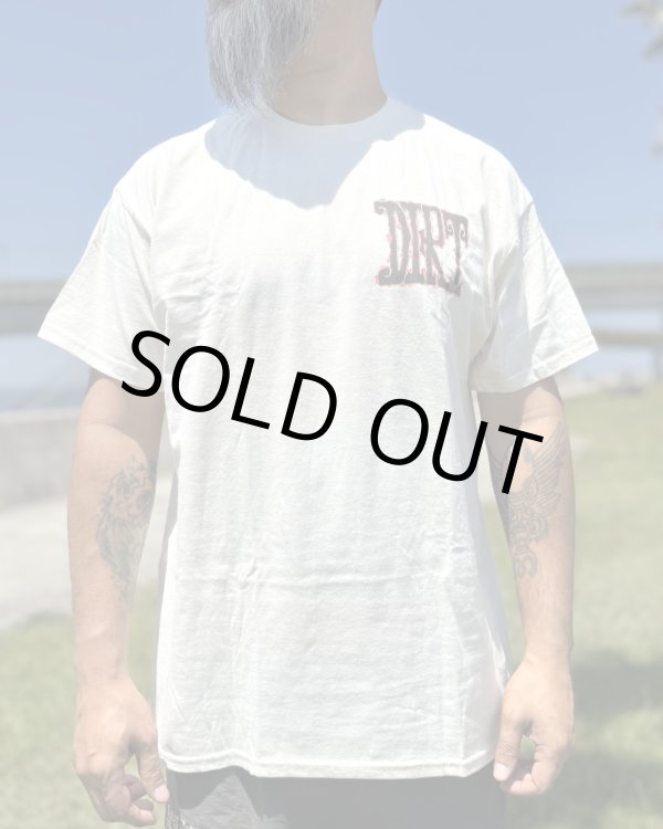 画像8: カリフォルニア買付アイテム 送料無料 M、Lサイズ各1枚づつで終了 ALICE IN CHAINS / Vintage Dirt Sun Tシャツ ナチュラル (8)
