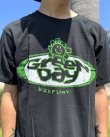 画像2: カリフォルニア買付アイテム 送料無料 L、XLサイズのみ GREEN DAY / Kerplunk! Tシャツ ブラック (2)