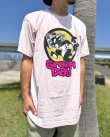 画像4: カリフォルニア買付アイテム 送料無料 GREEN DAY / Punk Cat Tシャツ ピンク (4)