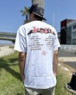 画像6: カリフォルニア買付アイテム 送料無料 GREEN DAY / Dookie Track List Tシャツ ホワイト (6)