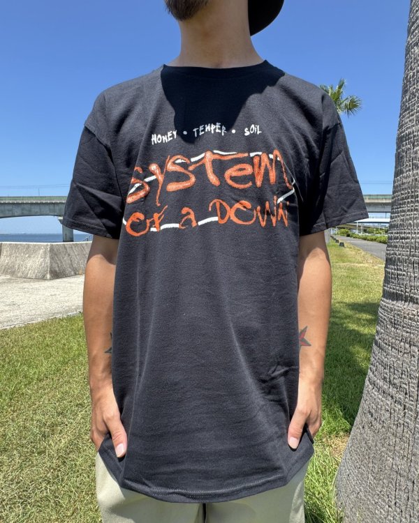 画像9: カリフォルニア買付アイテム 送料無料 M、Lサイズのみ SYSTEM OF A DOWN / Honey Temper Soil Tシャツ ブラック (9)