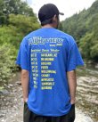 画像6: 送料無料 LESS THAN JAKE / Hello Rockview Tシャツ ブルー (6)