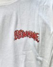 画像8: 送料無料 LESS THAN JAKE / French Fry Tシャツ ナチュラル (8)