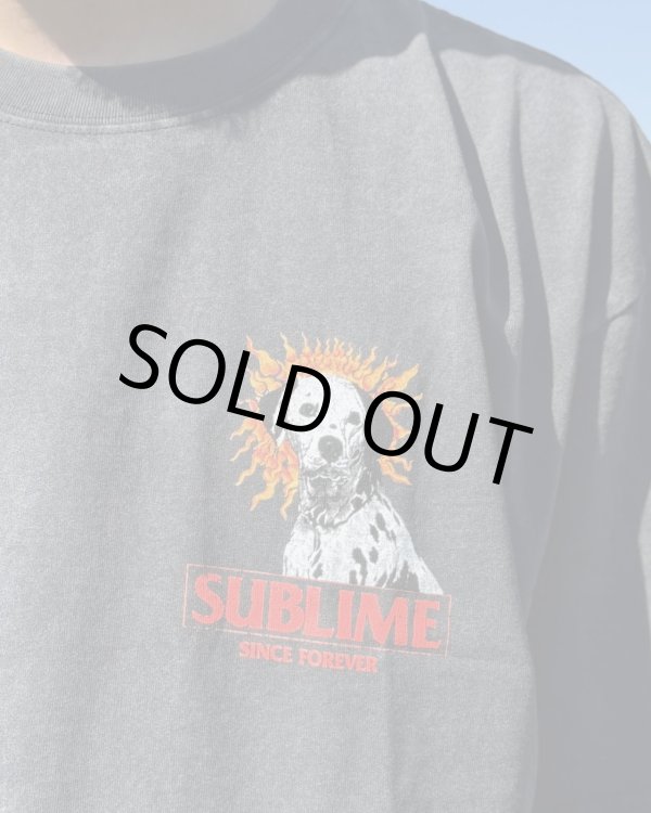 画像1: 送料無料 激レア プレミアム入荷 オフィシャルコラボT 日本での取り扱いは当店のみ SUBLIME x Thank You Collective / Lou Dog Tシャツ ヴィンテージブラック (1)