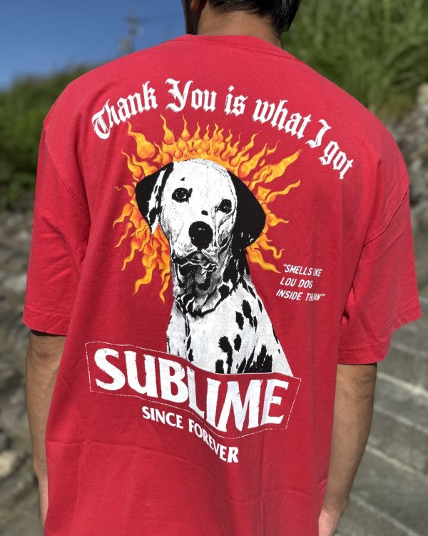 画像4: 送料無料 激レア プレミアム入荷 オフィシャルコラボT 日本での取り扱いは当店のみ SUBLIME x Thank You Collective / Lou Dog Tシャツ レッド (4)