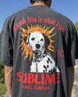 画像9: 送料無料 激レア プレミアム入荷 オフィシャルコラボT 日本での取り扱いは当店のみ SUBLIME x Thank You Collective / Lou Dog Tシャツ ヴィンテージブラック (9)