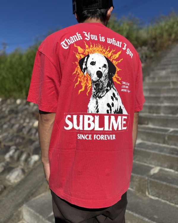 画像5: 送料無料 激レア プレミアム入荷 オフィシャルコラボT 日本での取り扱いは当店のみ SUBLIME x Thank You Collective / Lou Dog Tシャツ レッド (5)
