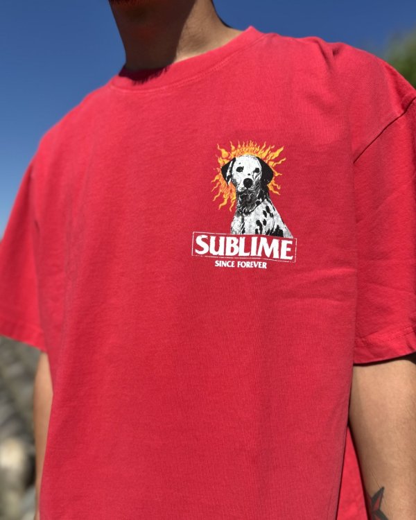 画像7: 送料無料 激レア プレミアム入荷 オフィシャルコラボT 日本での取り扱いは当店のみ SUBLIME x Thank You Collective / Lou Dog Tシャツ レッド (7)
