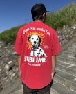 画像2: 送料無料 激レア プレミアム入荷 オフィシャルコラボT 日本での取り扱いは当店のみ SUBLIME x Thank You Collective / Lou Dog Tシャツ レッド (2)