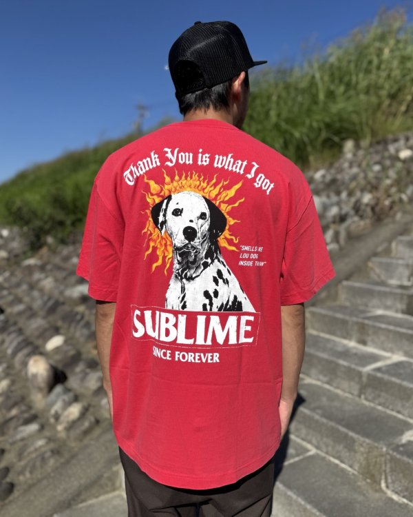 画像2: 送料無料 激レア プレミアム入荷 オフィシャルコラボT 日本での取り扱いは当店のみ SUBLIME x Thank You Collective / Lou Dog Tシャツ レッド (2)