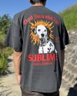 画像4: 送料無料 激レア プレミアム入荷 オフィシャルコラボT 日本での取り扱いは当店のみ SUBLIME x Thank You Collective / Lou Dog Tシャツ ヴィンテージブラック (4)
