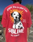 画像1: 送料無料 激レア プレミアム入荷 オフィシャルコラボT 日本での取り扱いは当店のみ SUBLIME x Thank You Collective / Lou Dog Tシャツ レッド (1)