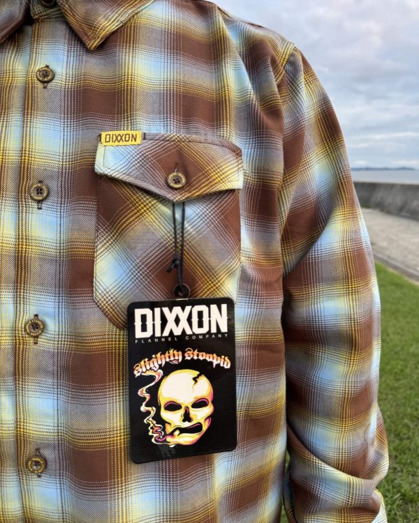 画像10: 送料無料 SLIGHTLY STOOPID x DIXXON FLANNEL CO / Slightly Stoopid コラボネルシャツ  (10)