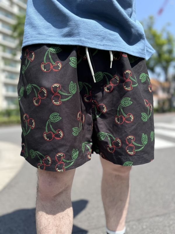 画像4: 30%OFF M、Lサイズ各1枚づつで終了 EMPYRE / Ollie Black Cherry ショーツ  (4)