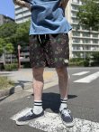 画像1: EMPYRE / Ollie Black Cherry ショーツ　 (1)