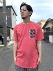 画像6: 送料無料 NOFX "Final Tour Last Merch" / Allbums Tシャツ (made in USA) (6)